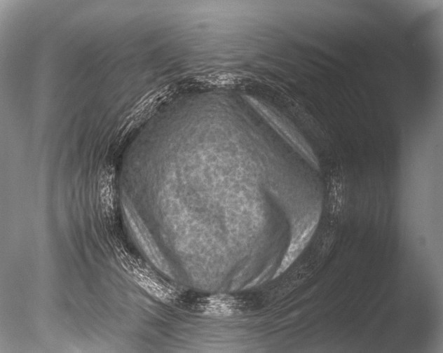 X0000085740612200703301430