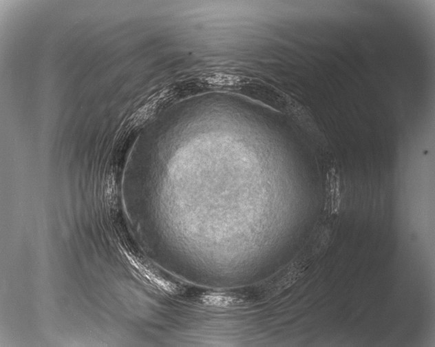 X0000085740614200703301430