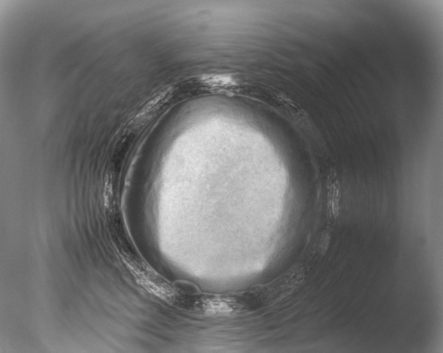 X0000085740618200703301430