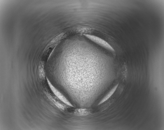 X0000085740622200703301430