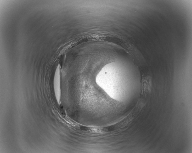 X0000085740623200703301430
