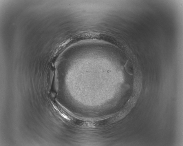 X0000085740624200703301430
