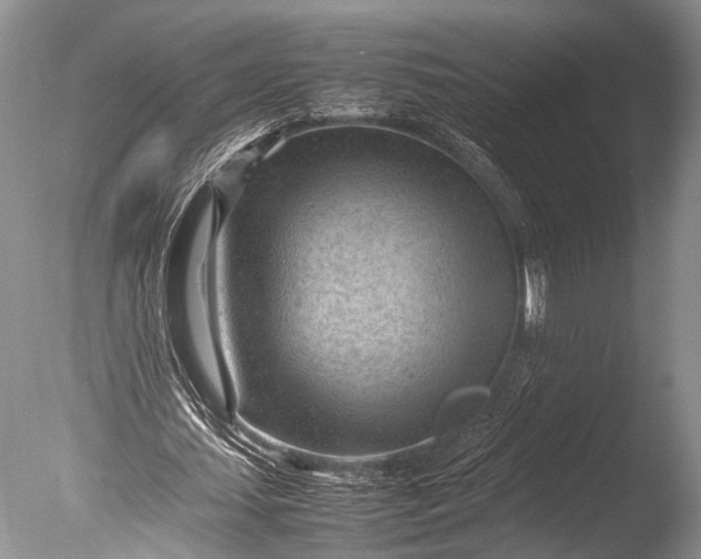 X0000085740627200703301429