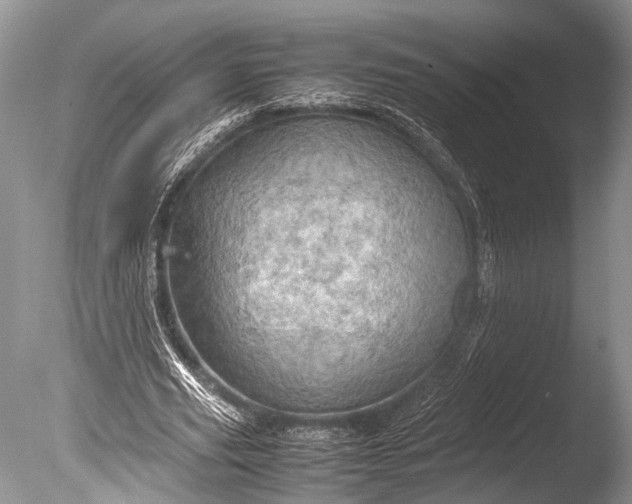 X0000085740629200703301429