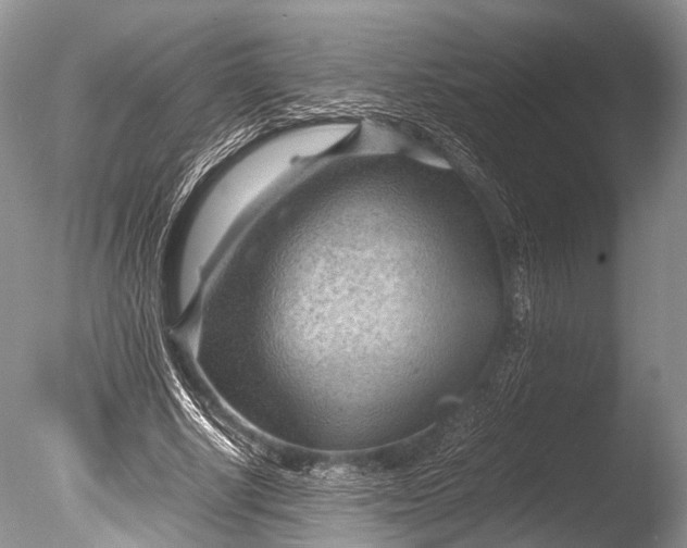 X0000085740634200703301429