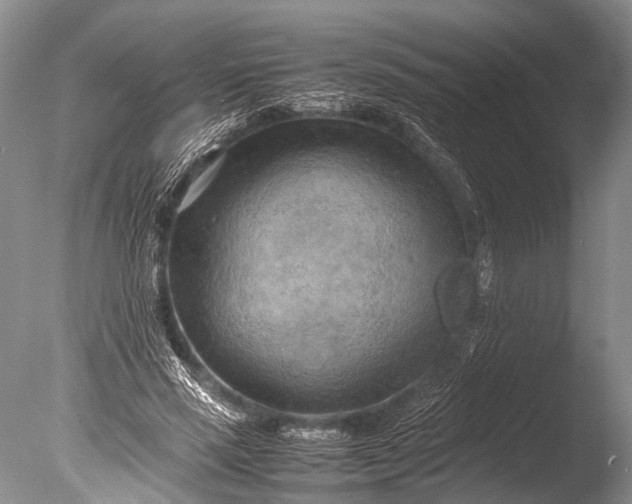 X0000085740637200703301429