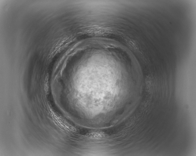 X0000085740642200703301429
