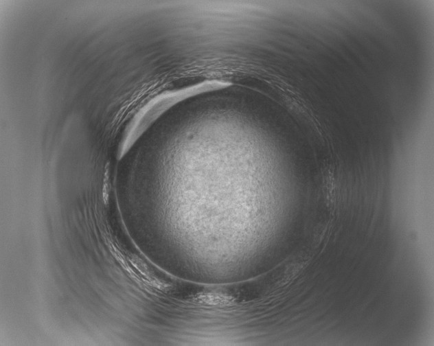 X0000085740644200703301429