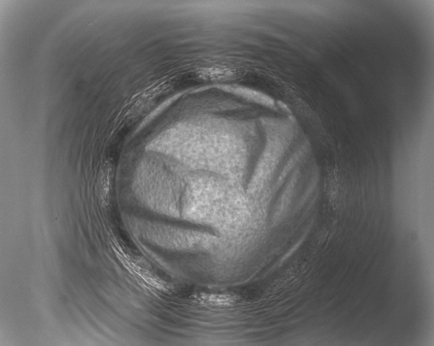 X0000085740645200703301429