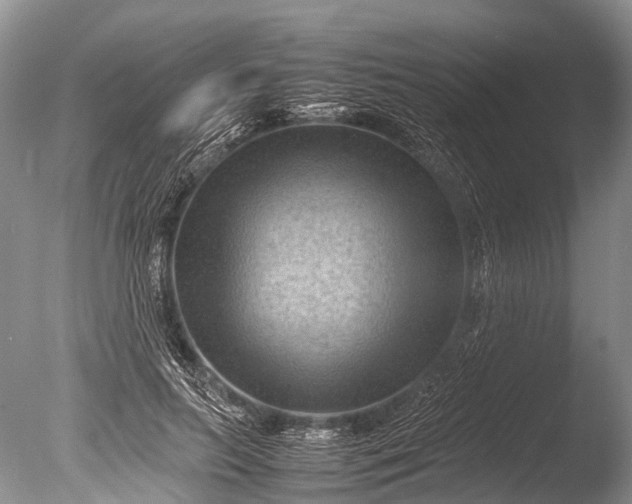 X0000085740647200703301429
