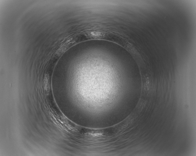 X0000085740651200703301429