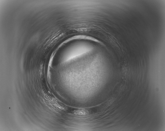 X0000085740652200703301429