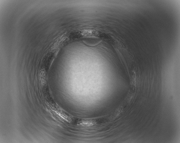 X0000085740659200703301429