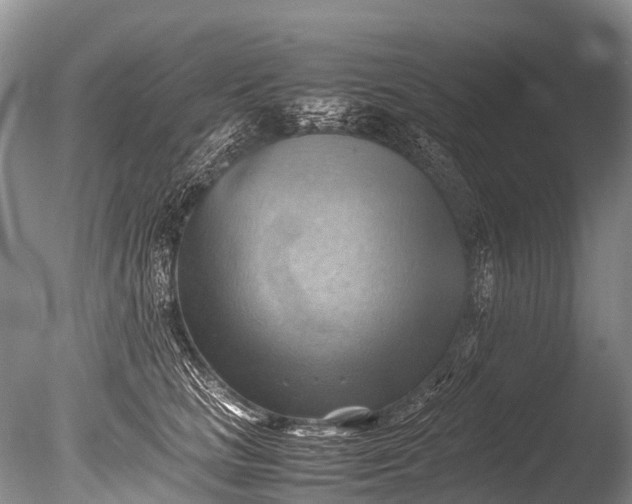 X0000085740661200703301429