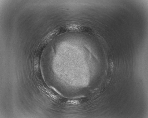 X0000085740665200703301429