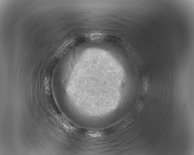 X0000085740667200703301429