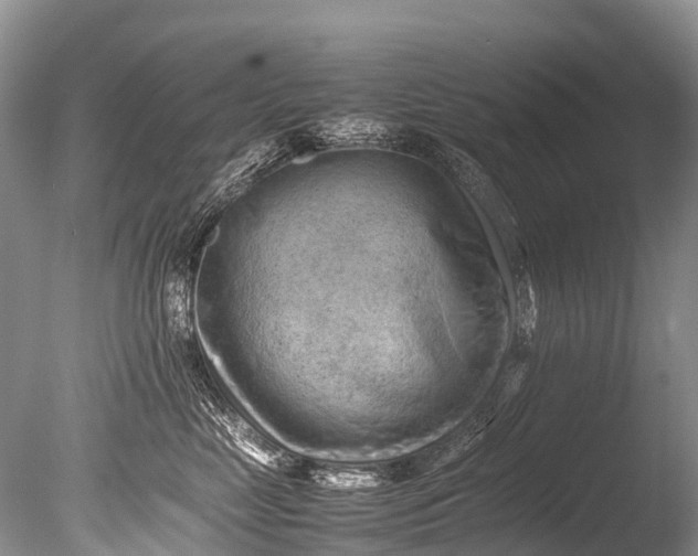 X0000085740669200703301429