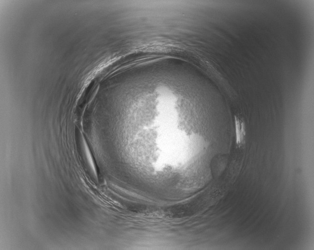 X0000085740675200703301429