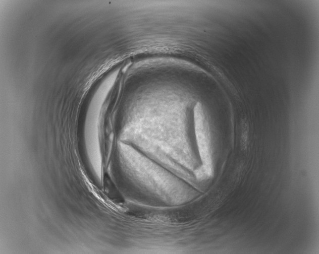 X0000085740677200703301429
