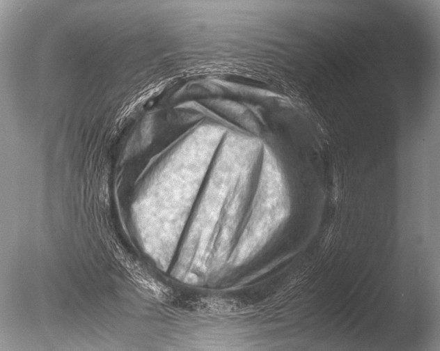X0000085740681200703301429