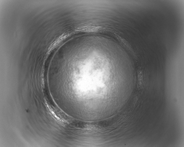 X0000085740682200703301429