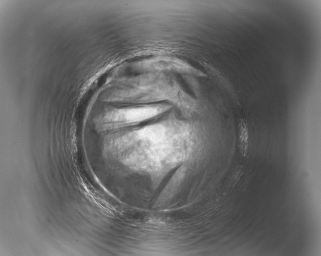 X0000085740684200703301428