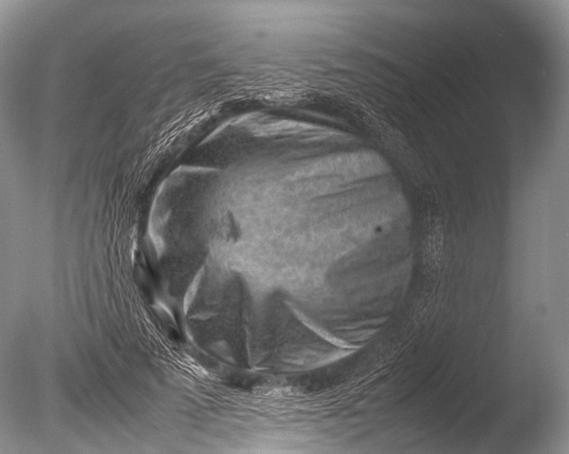 X0000085740689200703301428