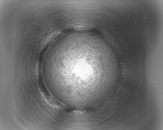 X0000085740690200703301428