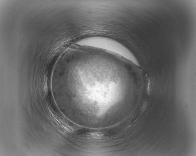 X0000085740692200703301428