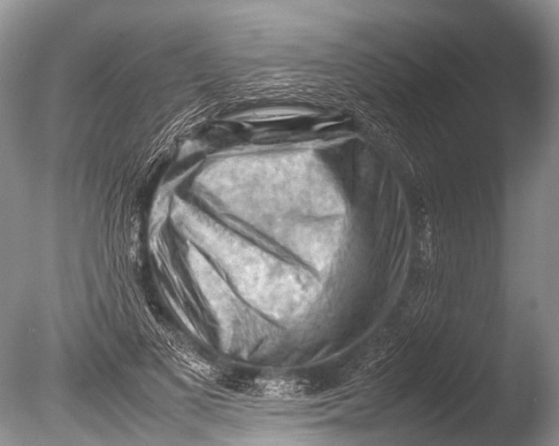 X0000085740693200703301428