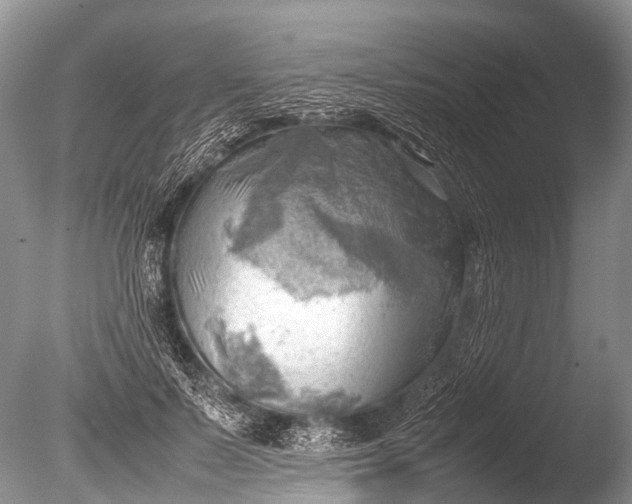X0000085740695200703301428