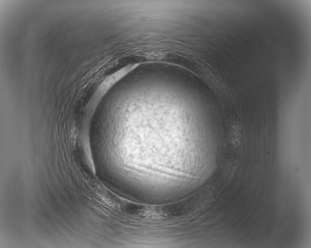 X0000085740697200703301428