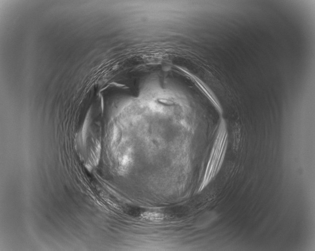 X0000085740699200703301428
