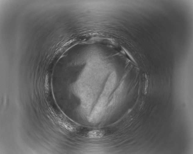X0000085740700200703301428