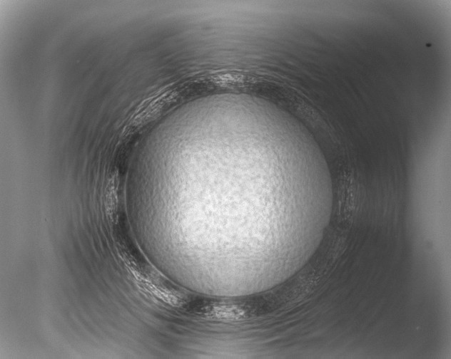 X0000085740702200703301428
