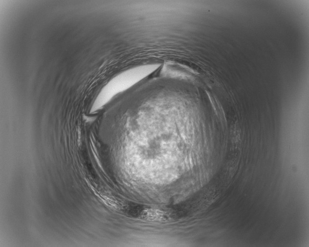 X0000085740703200703301428