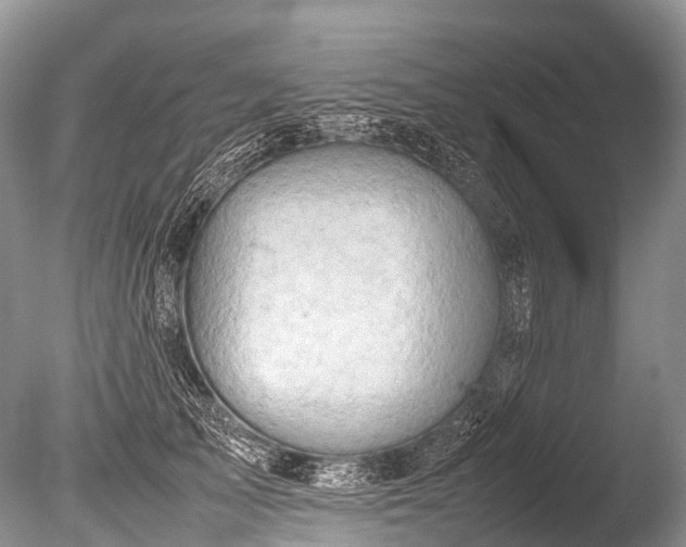 X0000085740705200703301428