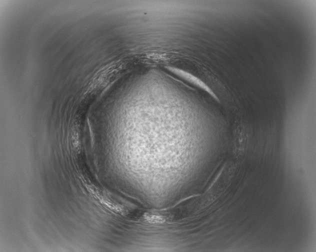 X0000085740706200703301428