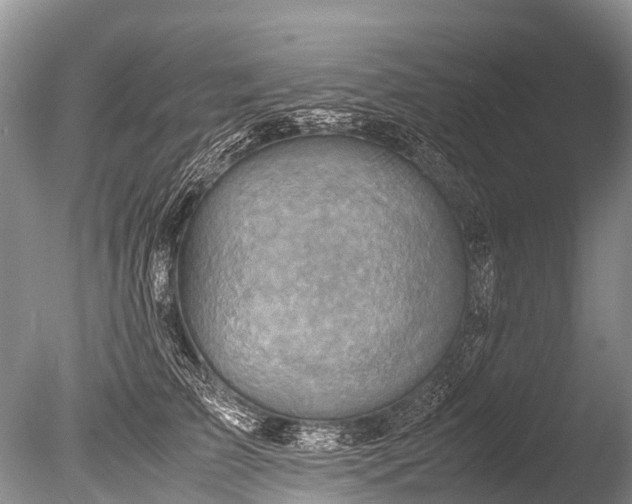 X0000085740709200703301428