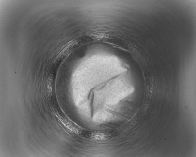 X0000085740710200703301428