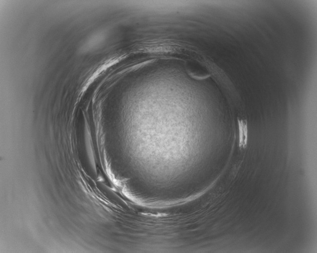 X0000085740723200703301427