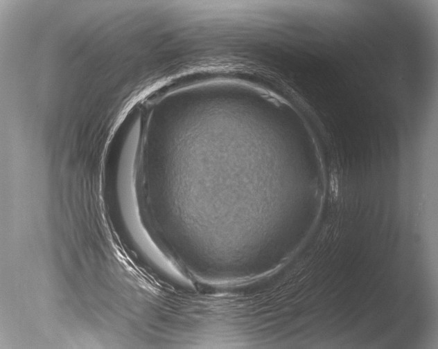 X0000085740724200703301427