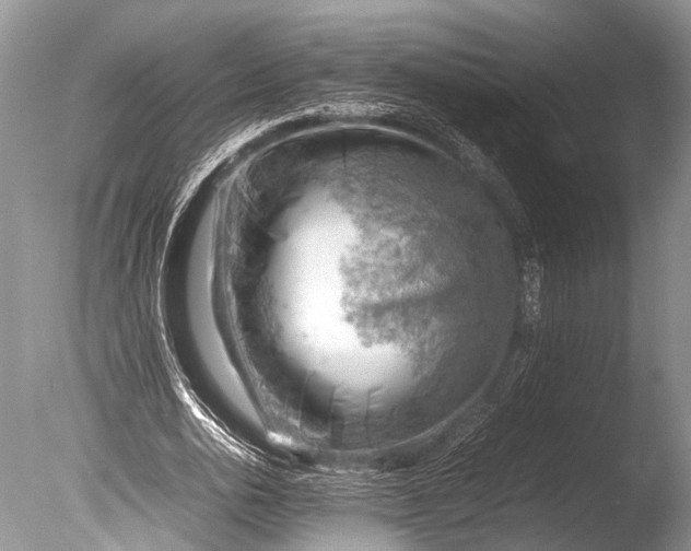 X0000085740726200703301427