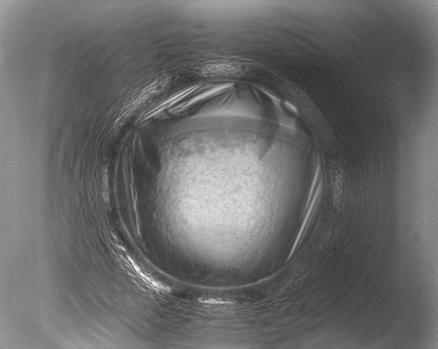 X0000085740729200703301427