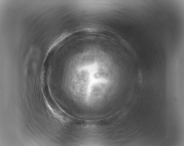 X0000085740730200703301427