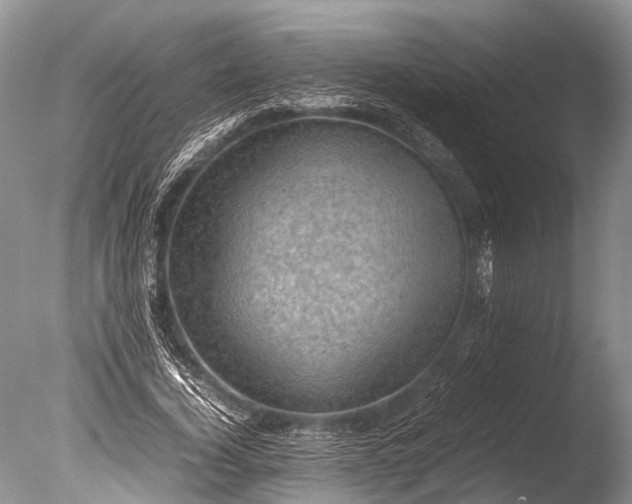 X0000085740732200703301427