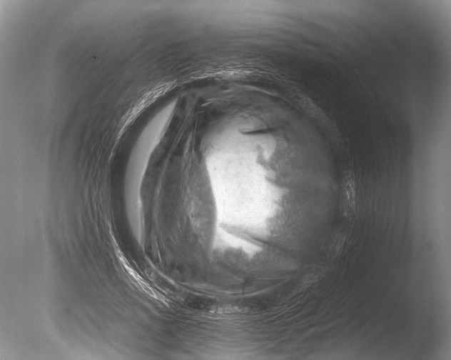 X0000085740734200703301427