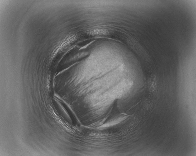 X0000085740735200703301427