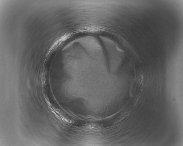 X0000085740736200703301427
