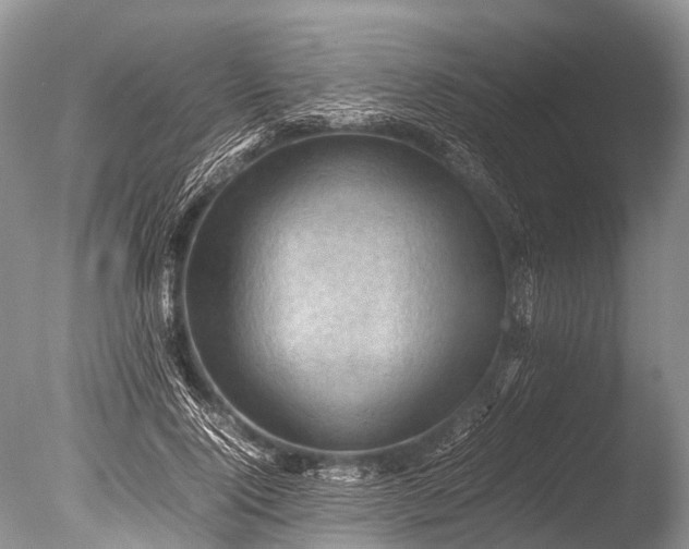 X0000085740740200703301427